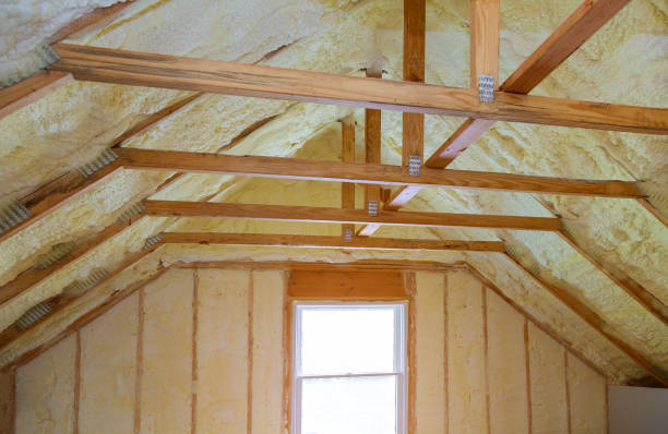Best Spray Foam Insulation in South Rosemary, NC