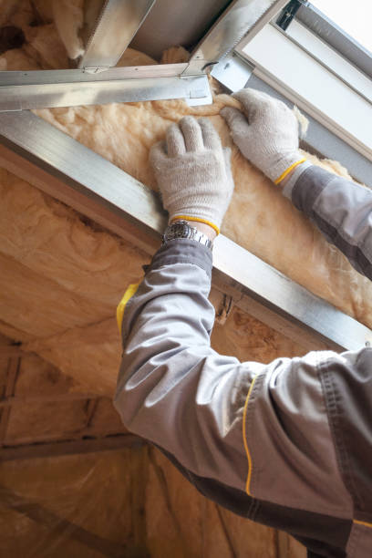 Best Residential Insulation in South Rosemary, NC