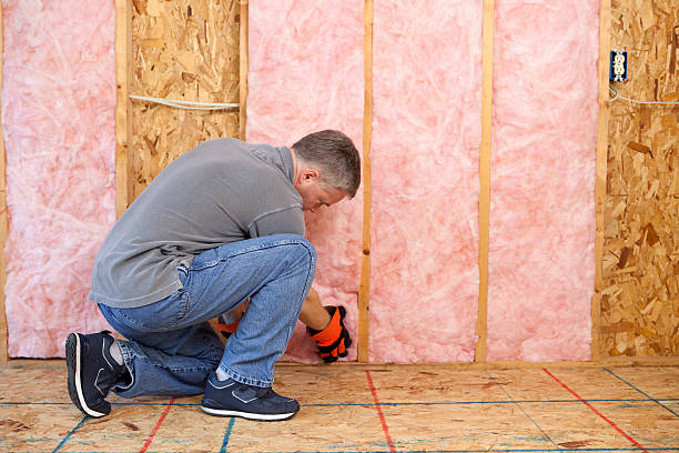 Best Geographic-Specific Insulation Services in South Rosemary, NC