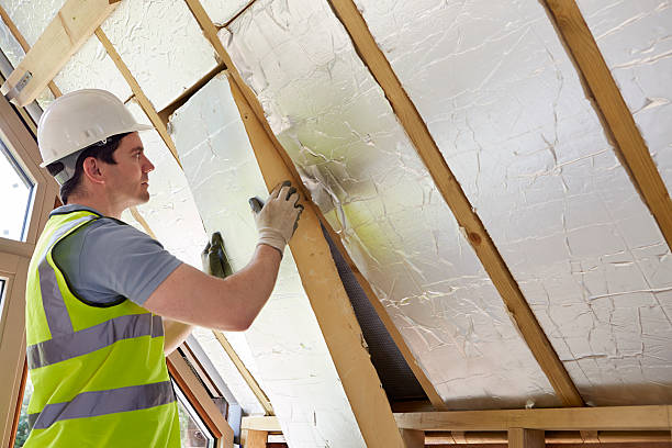 Best Specialized Insulation Services in South Rosemary, NC