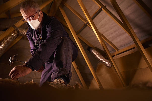 Best Cellulose Insulation in South Rosemary, NC