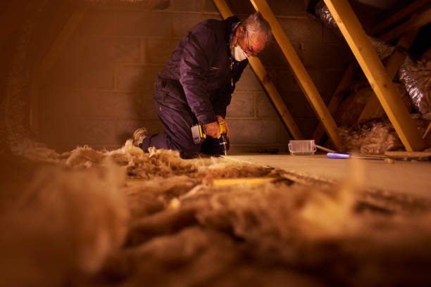 Types of Insulation We Offer in South Rosemary, NC